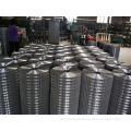 Stainless Steel Welded Wire Mesh